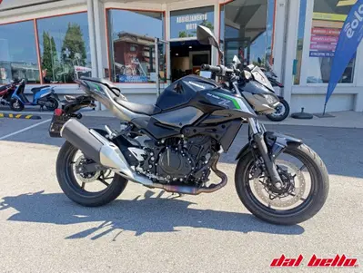 Kawasaki Z 500 (2024 - 26) usata