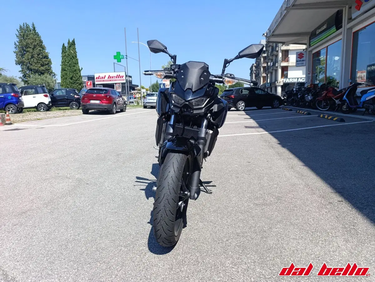 Kawasaki Z 500 (2024 - 26) (2)