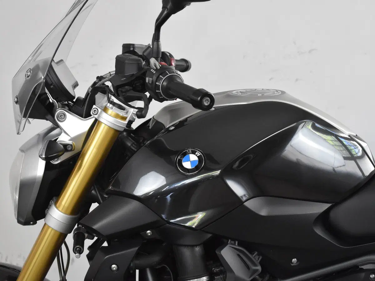 Bmw R 1200 R (2015 - 16) (12)