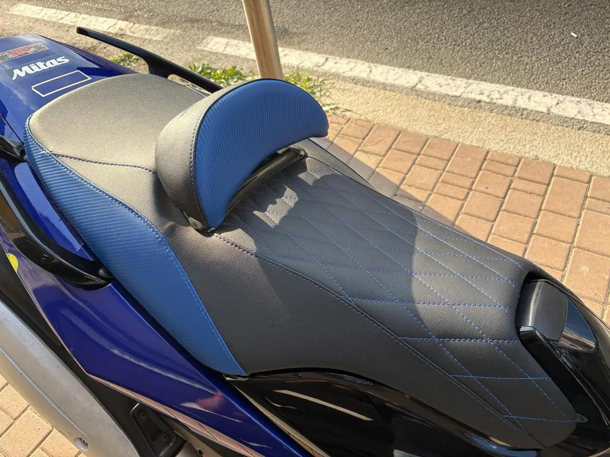 Yamaha T-Max 500 (2008 - 12) (9)
