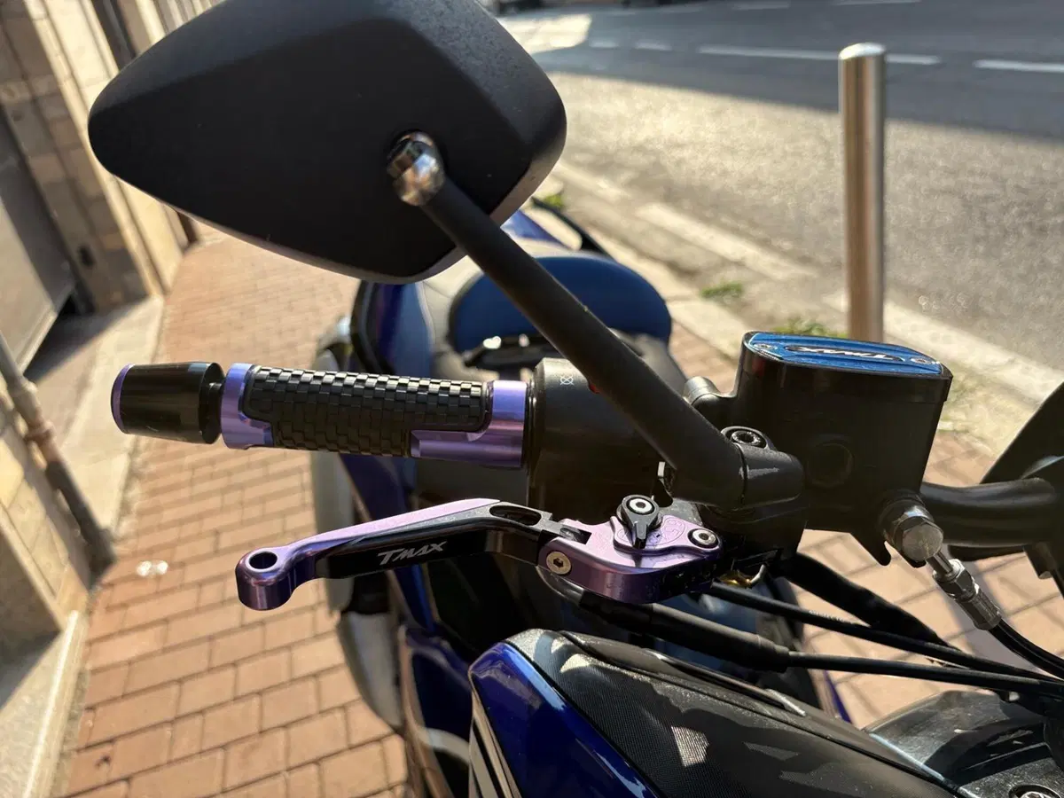 Yamaha T-Max 500 (2008 - 12) (11)