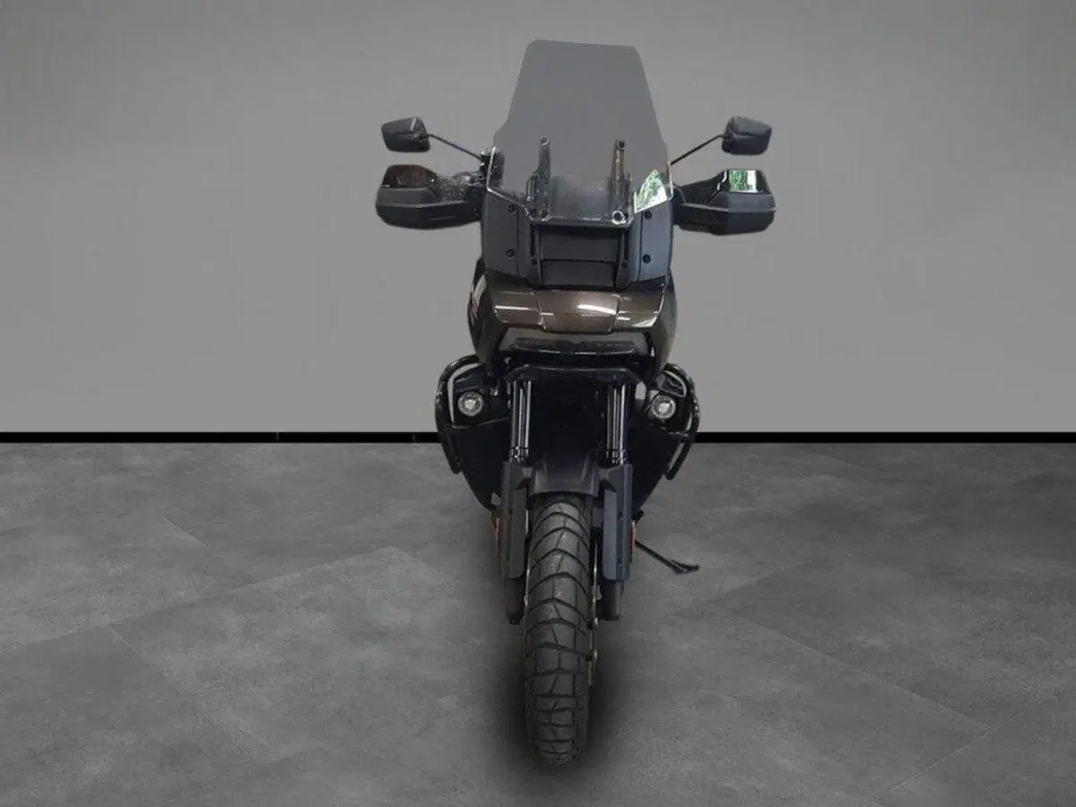 Harley-Davidson Pan America 1250 (2020 - 25) (3)