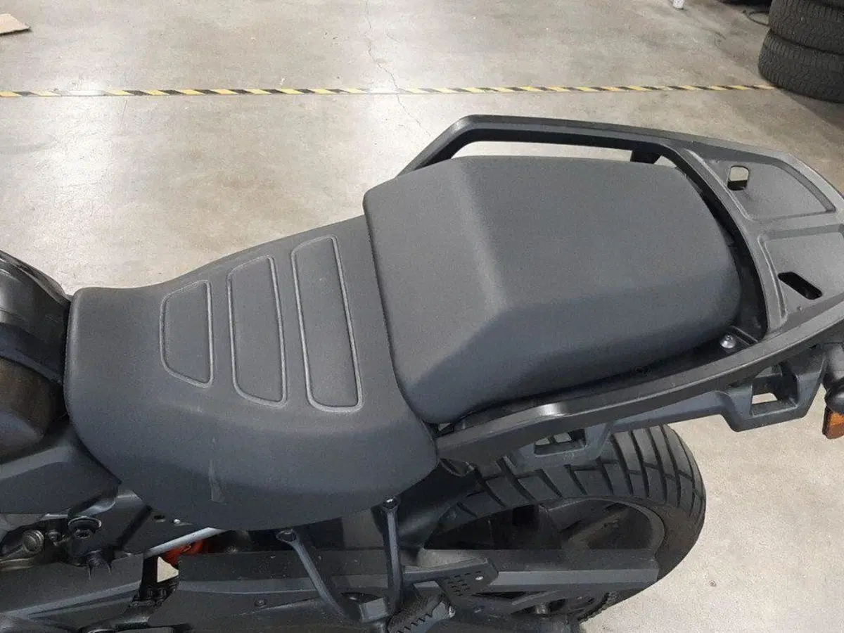 Harley-Davidson Pan America 1250 (2020 - 25) (5)