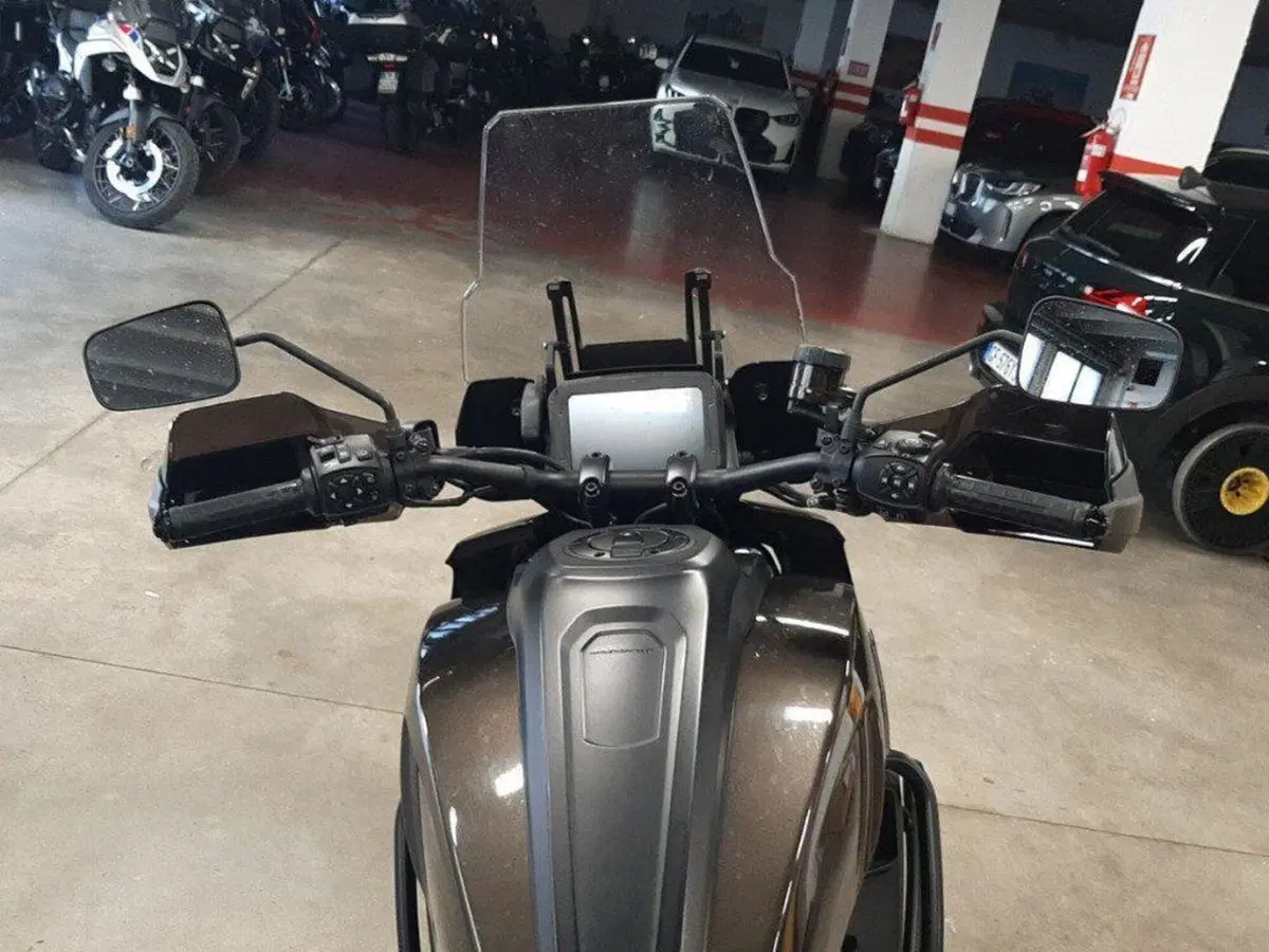 Harley-Davidson Pan America 1250 (2020 - 25) (7)