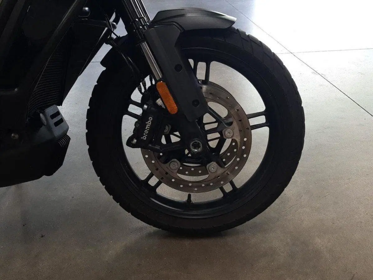 Harley-Davidson Pan America 1250 (2020 - 25) (8)