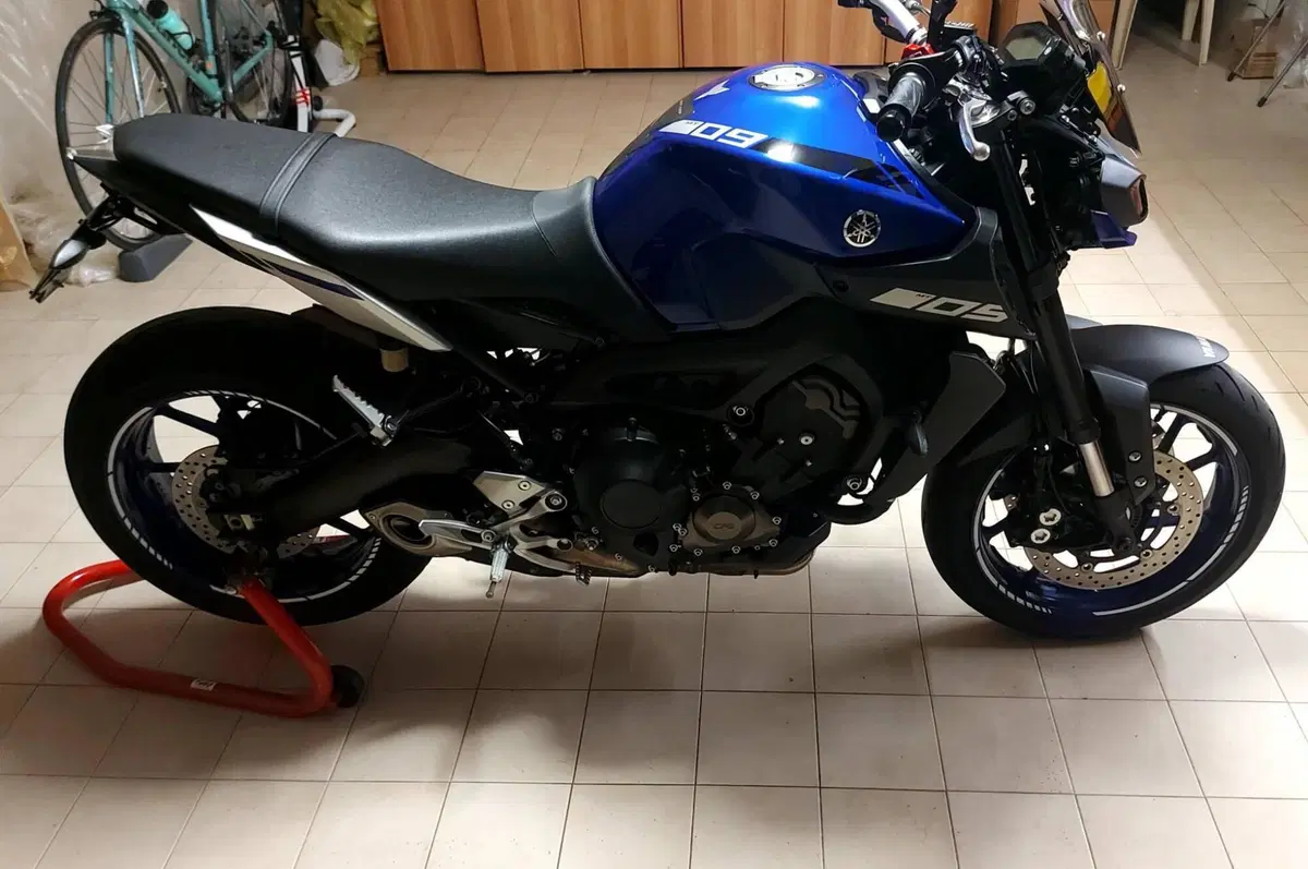 Yamaha MT-09 (2017 - 20) (4)