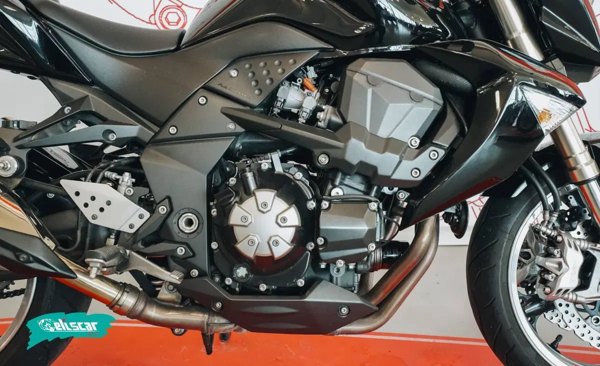 Kawasaki Z 1000 (2007 - 09) (8)