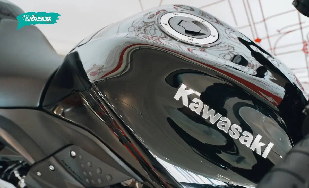 Kawasaki Z 1000 (2007 - 09) (9)