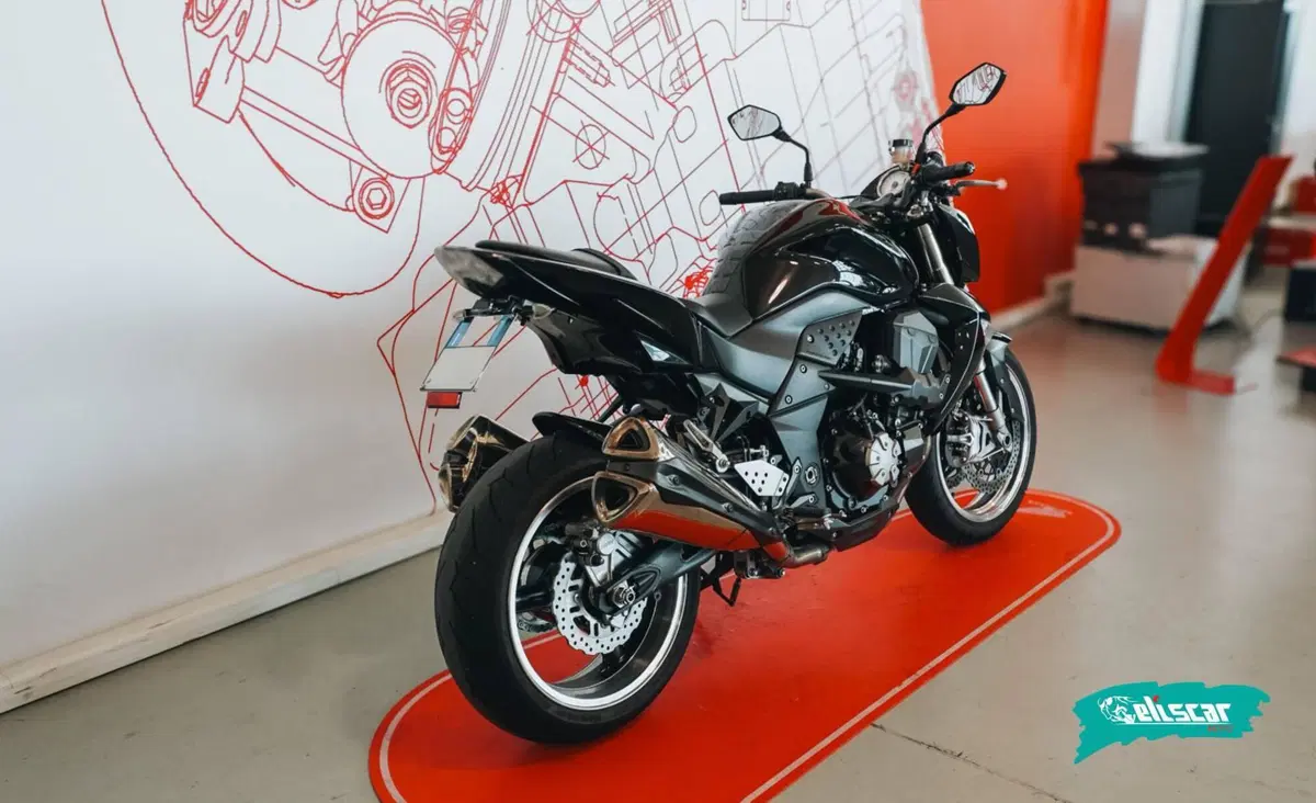 Kawasaki Z 1000 (2007 - 09) (4)