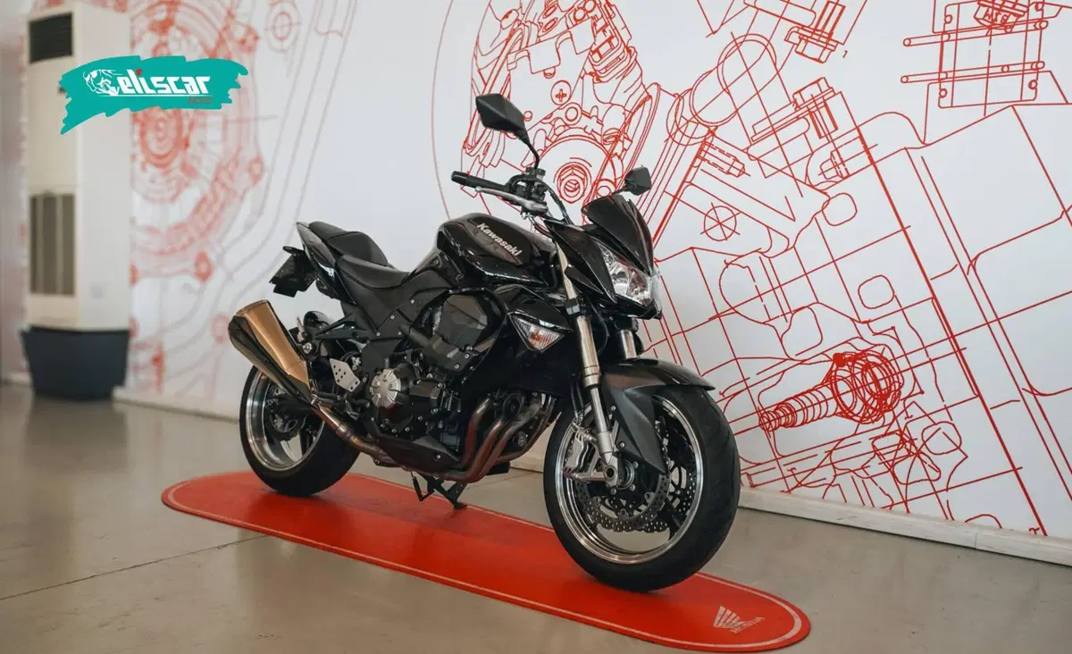 Kawasaki Z 1000 (2007 - 09) (2)