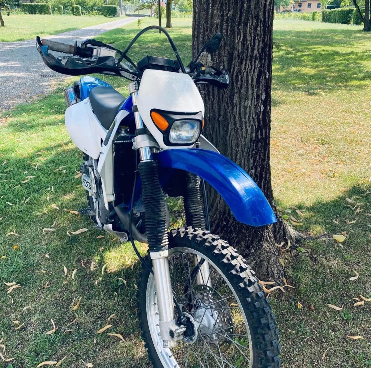 Suzuki DR-Z 400 E (2000- 06) (2)