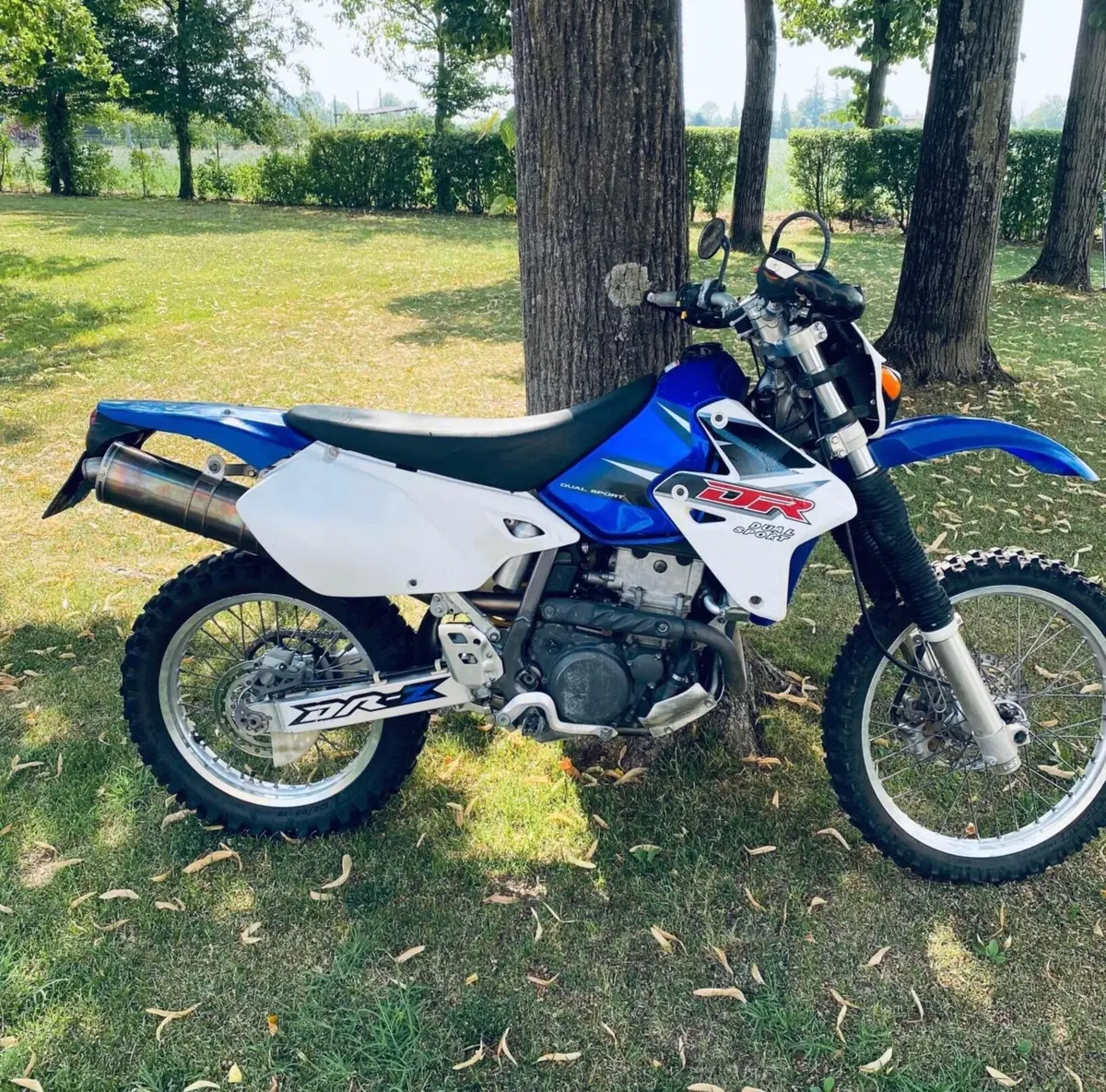 Suzuki DR-Z 400 E (2000- 06) (3)