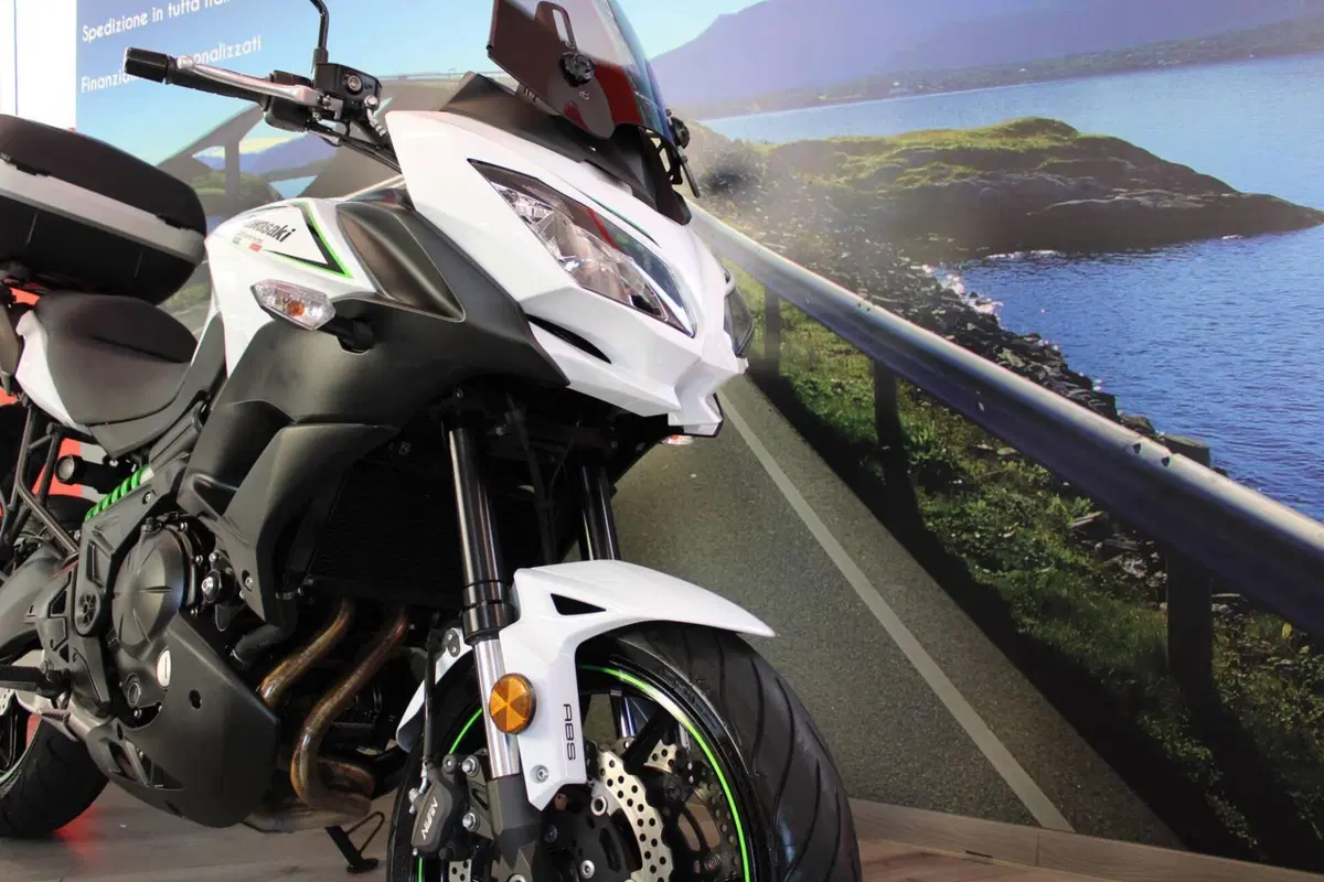 Kawasaki Versys 650 (2017 - 20) (11)