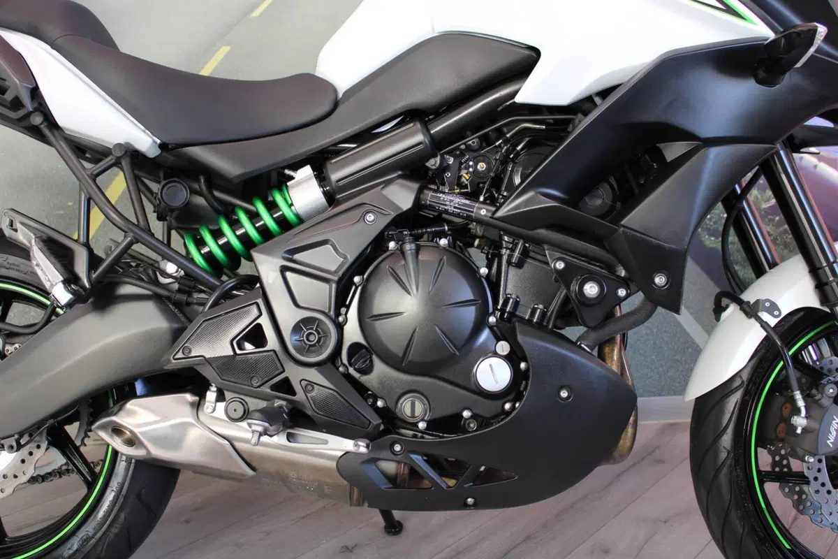 Kawasaki Versys 650 (2017 - 20) (13)