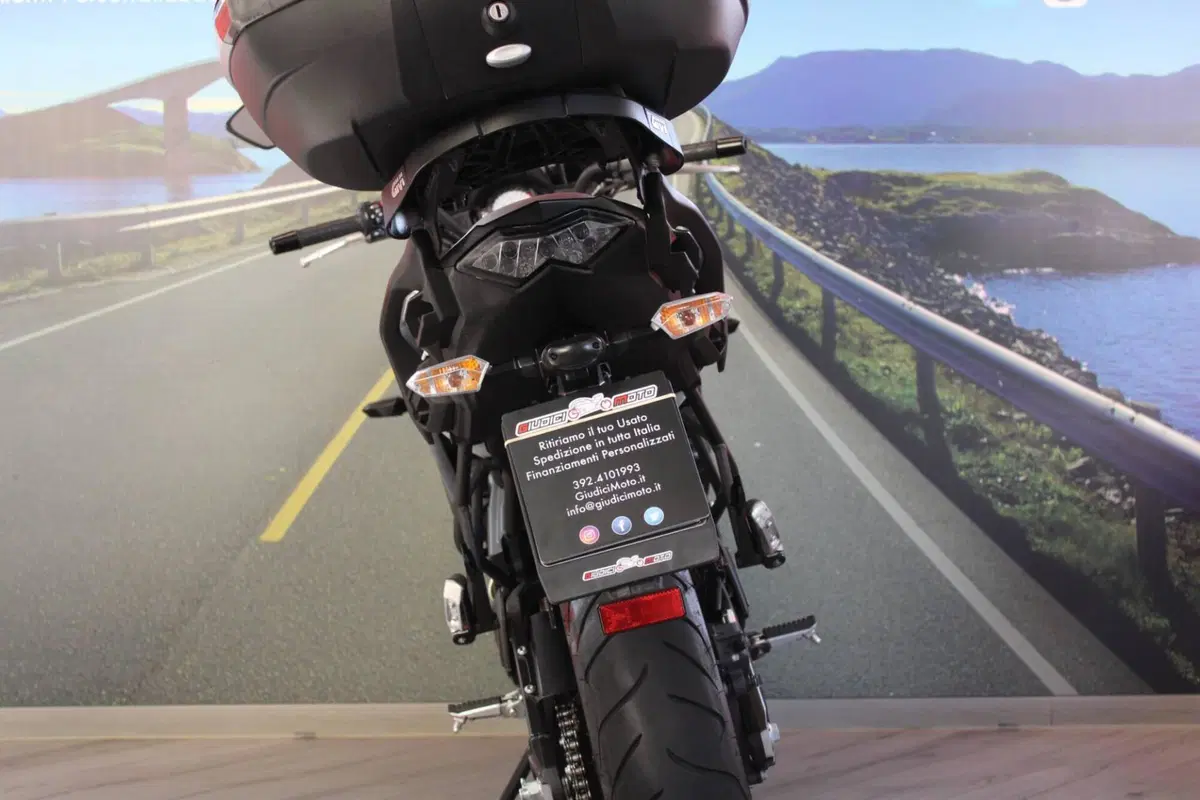 Kawasaki Versys 650 (2017 - 20) (15)