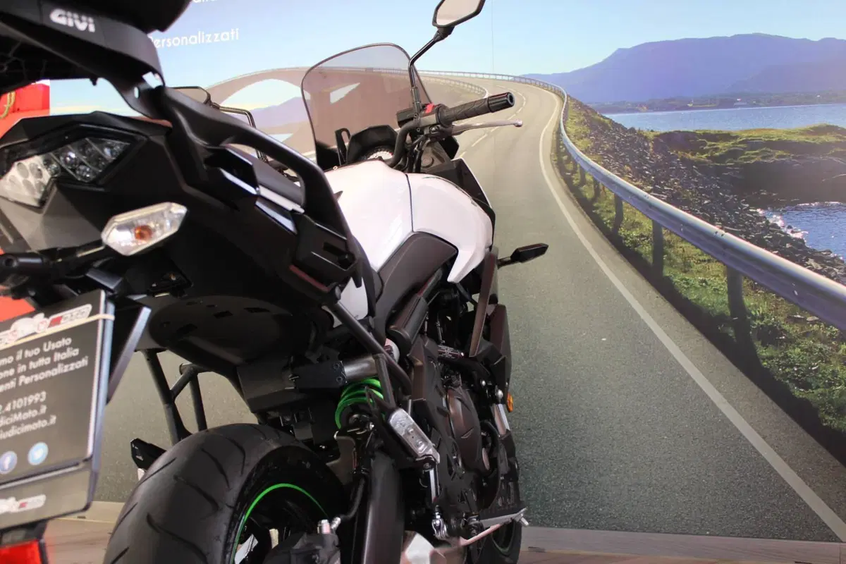 Kawasaki Versys 650 (2017 - 20) (17)