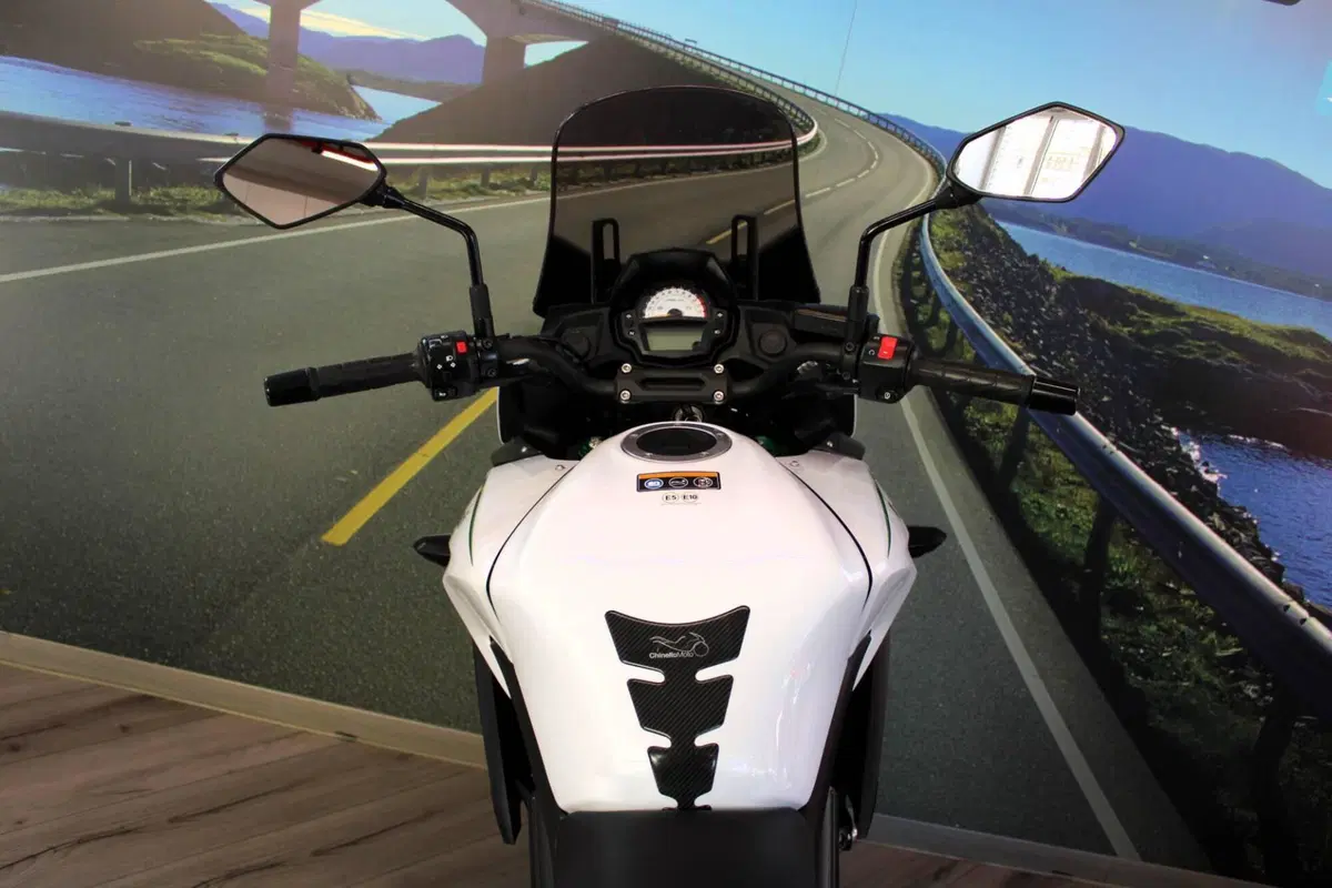 Kawasaki Versys 650 (2017 - 20) (19)