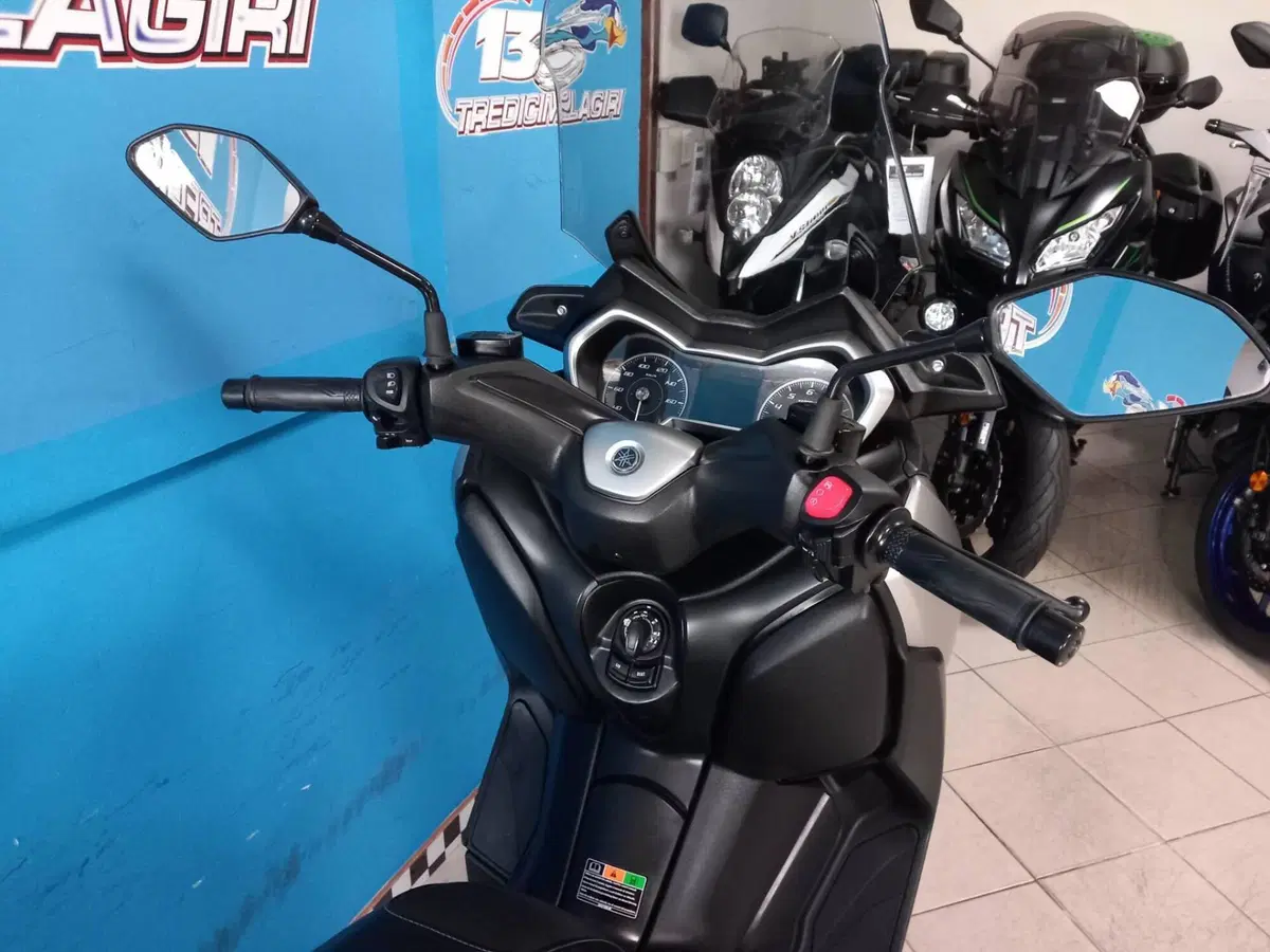 Yamaha X-Max 300 ABS (2017 - 20) (16)