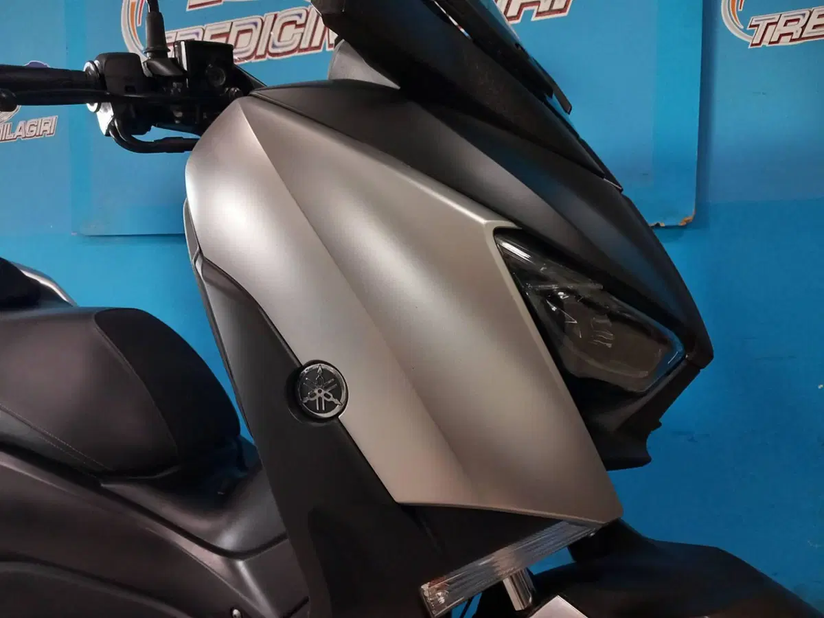 Yamaha X-Max 300 ABS (2017 - 20) (17)