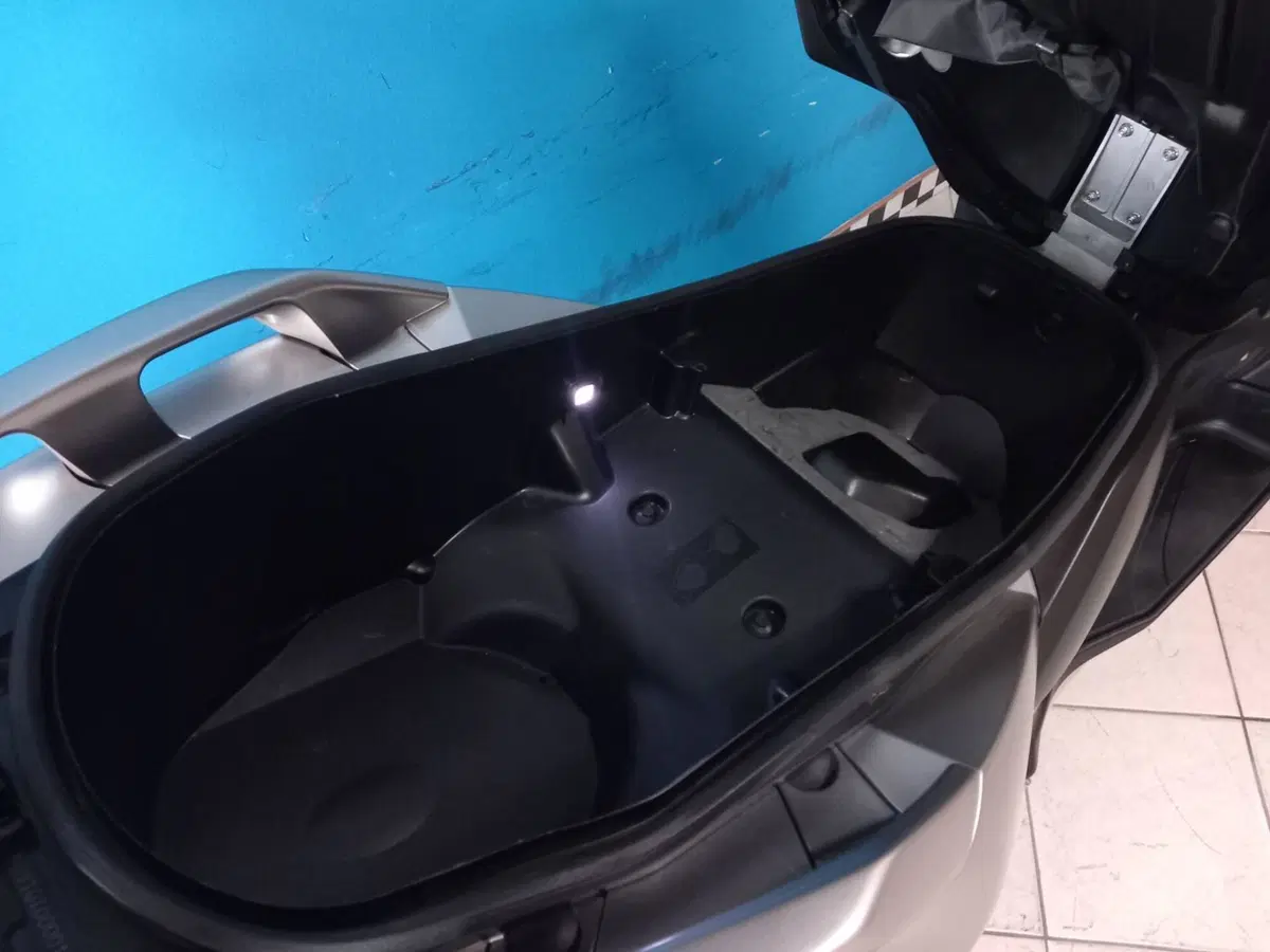 Yamaha X-Max 300 ABS (2017 - 20) (15)