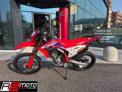 Honda CRF 300L (2021 - 24) usata