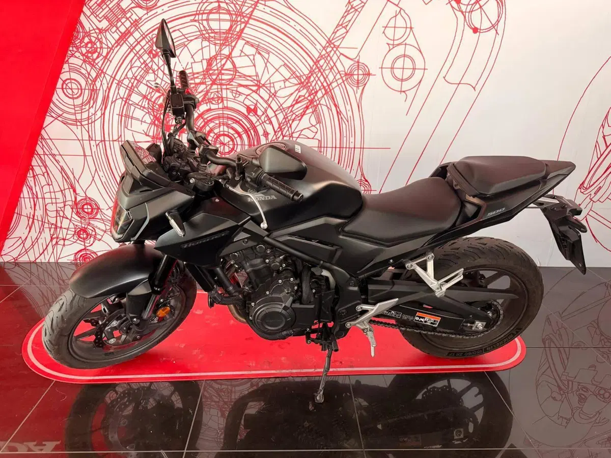 Honda CB 500 Hornet (2024 - 25) (3)