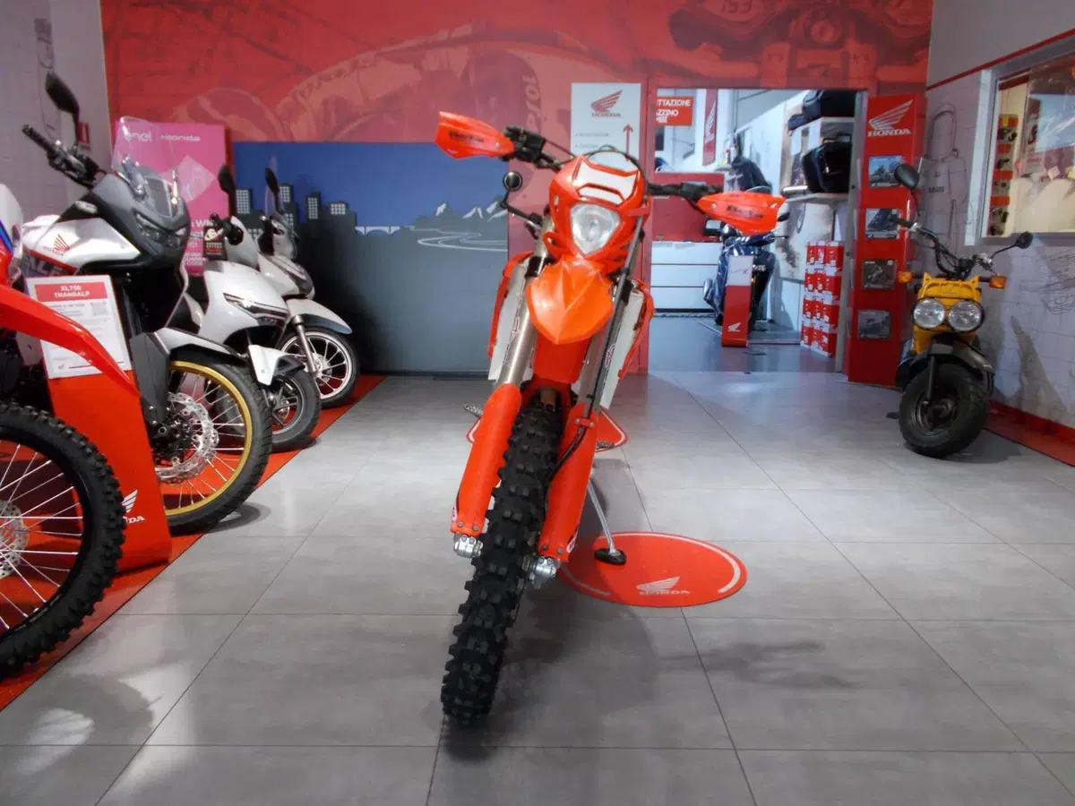 Betamotor RR 350 4T Enduro Race (2025) (6)