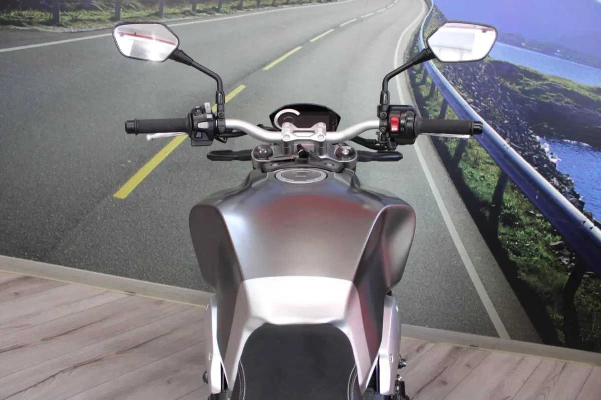 Honda CB 1000 R + Limited Edition (2019) (20)