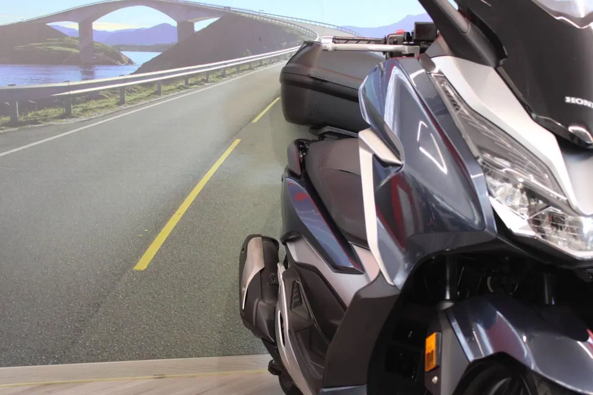 Honda Forza 300 (2019 - 20) (10)