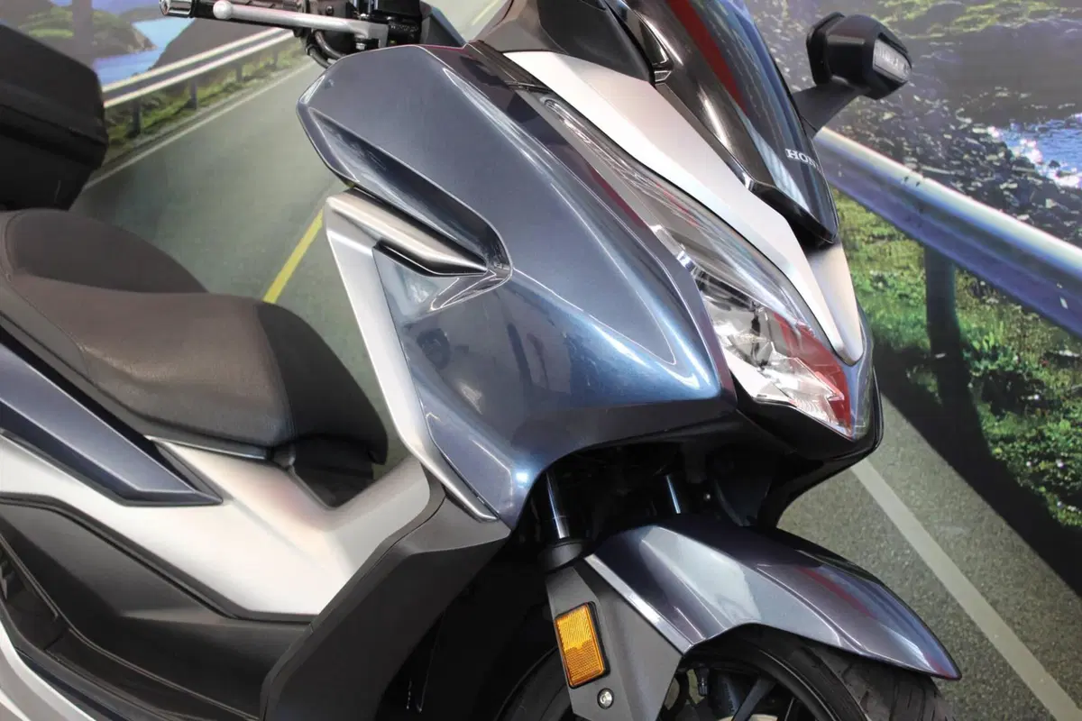 Honda Forza 300 (2019 - 20) (12)