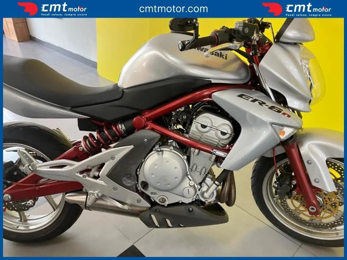 Kawasaki ER-6N (2006 - 09) (8)