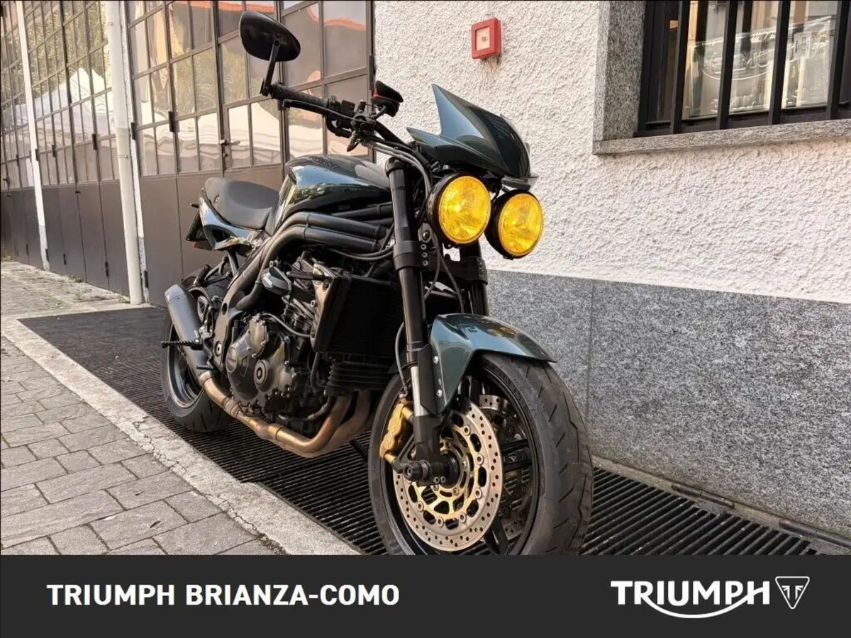 Triumph Speed Triple 1050 (2005 - 11) (2)