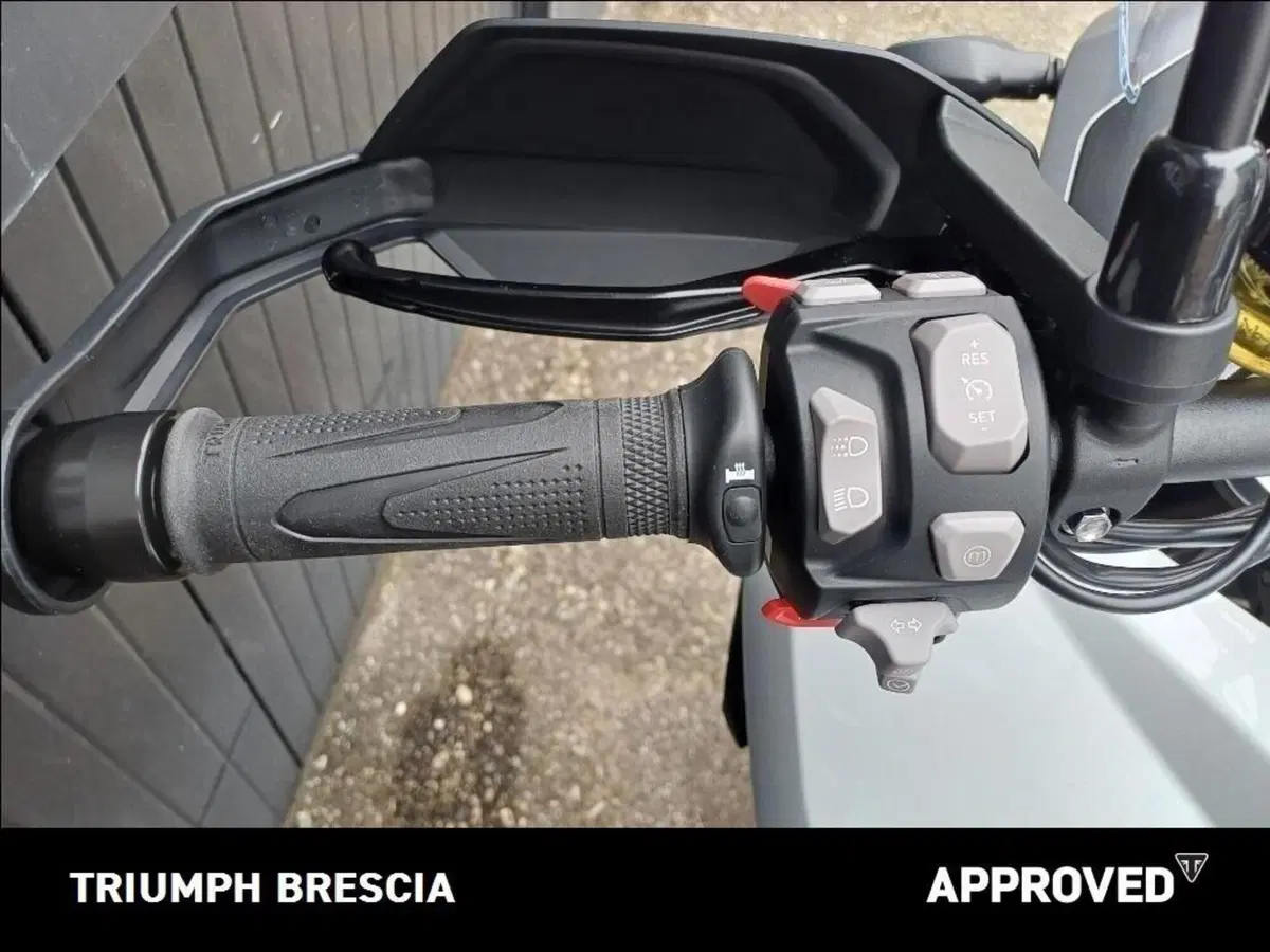 Triumph Tiger 1200 GT Pro (2024 - 26) (9)