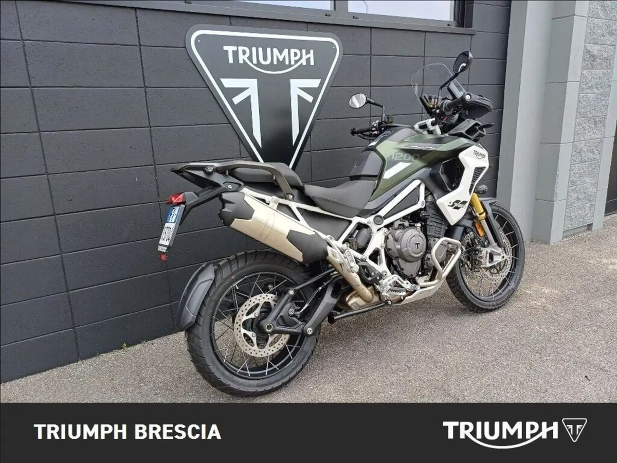 Triumph Tiger 1200 Rally Pro (2024 - 26) (3)
