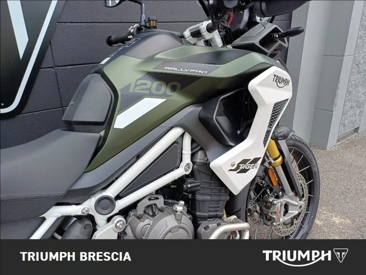 Triumph Tiger 1200 Rally Pro (2024 - 26) (5)