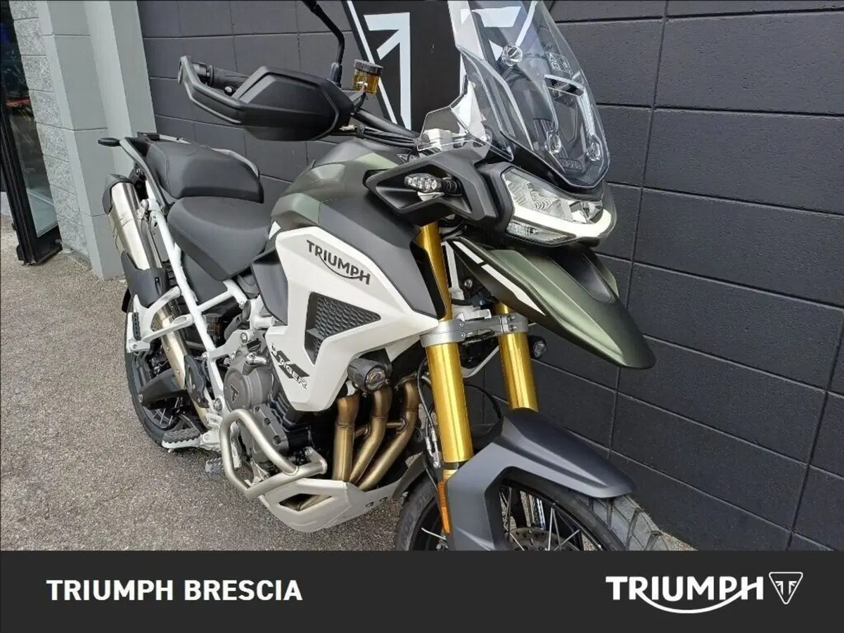 Triumph Tiger 1200 Rally Pro (2024 - 26) (6)