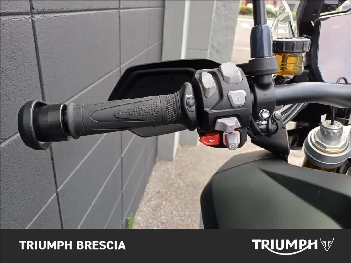 Triumph Tiger 1200 Rally Pro (2024 - 26) (8)