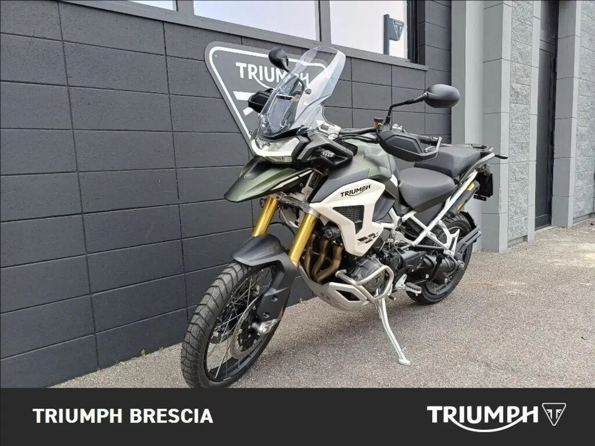 Triumph Tiger 1200 Rally Pro (2024 - 26) (12)