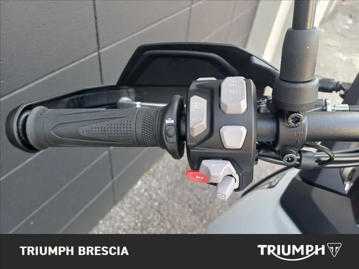 Triumph Tiger 900 Alpine Special Edition (2026) (8)