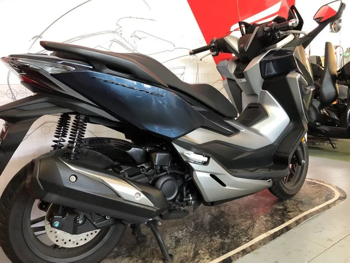 Honda Forza 300 (2019 - 20) (3)