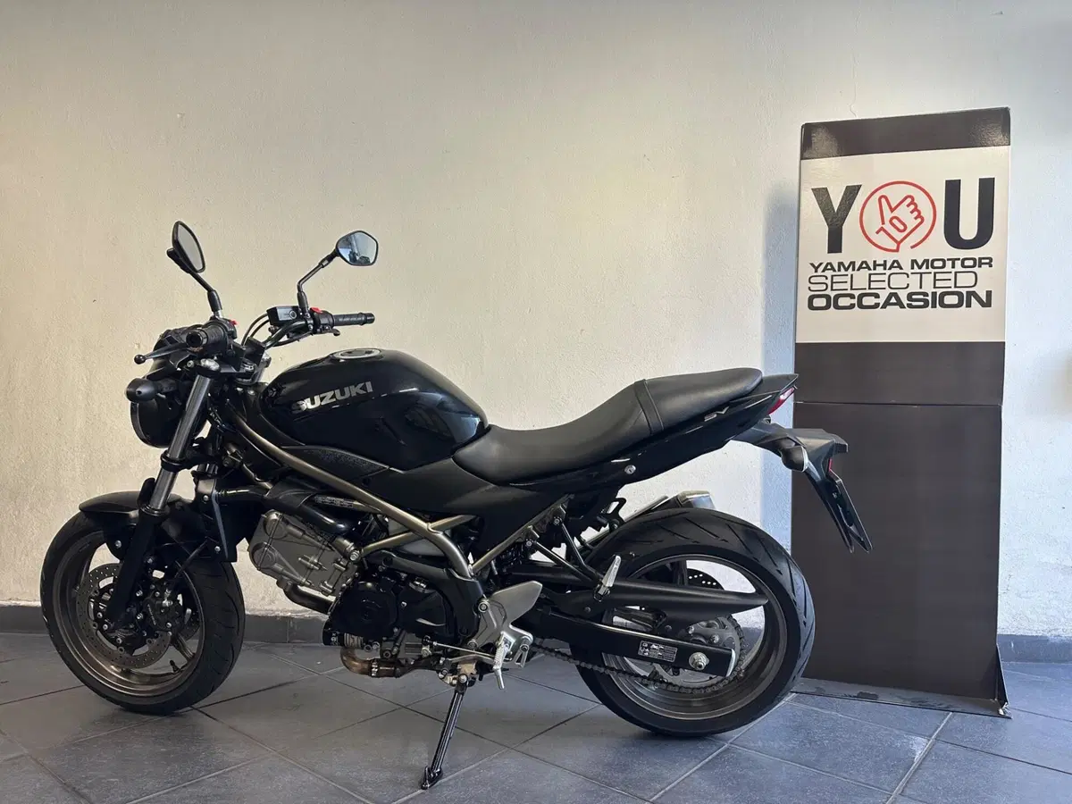 Suzuki SV650 (2021 - 24) (2)