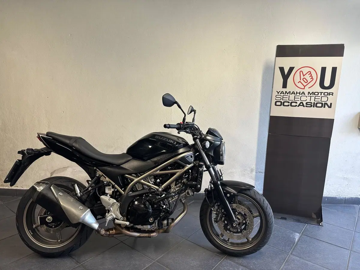 Suzuki SV650 (2021 - 24)