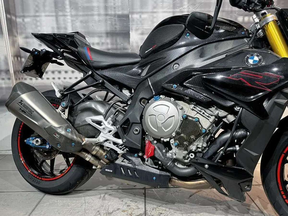 Bmw S 1000 R (2017 - 20) (7)