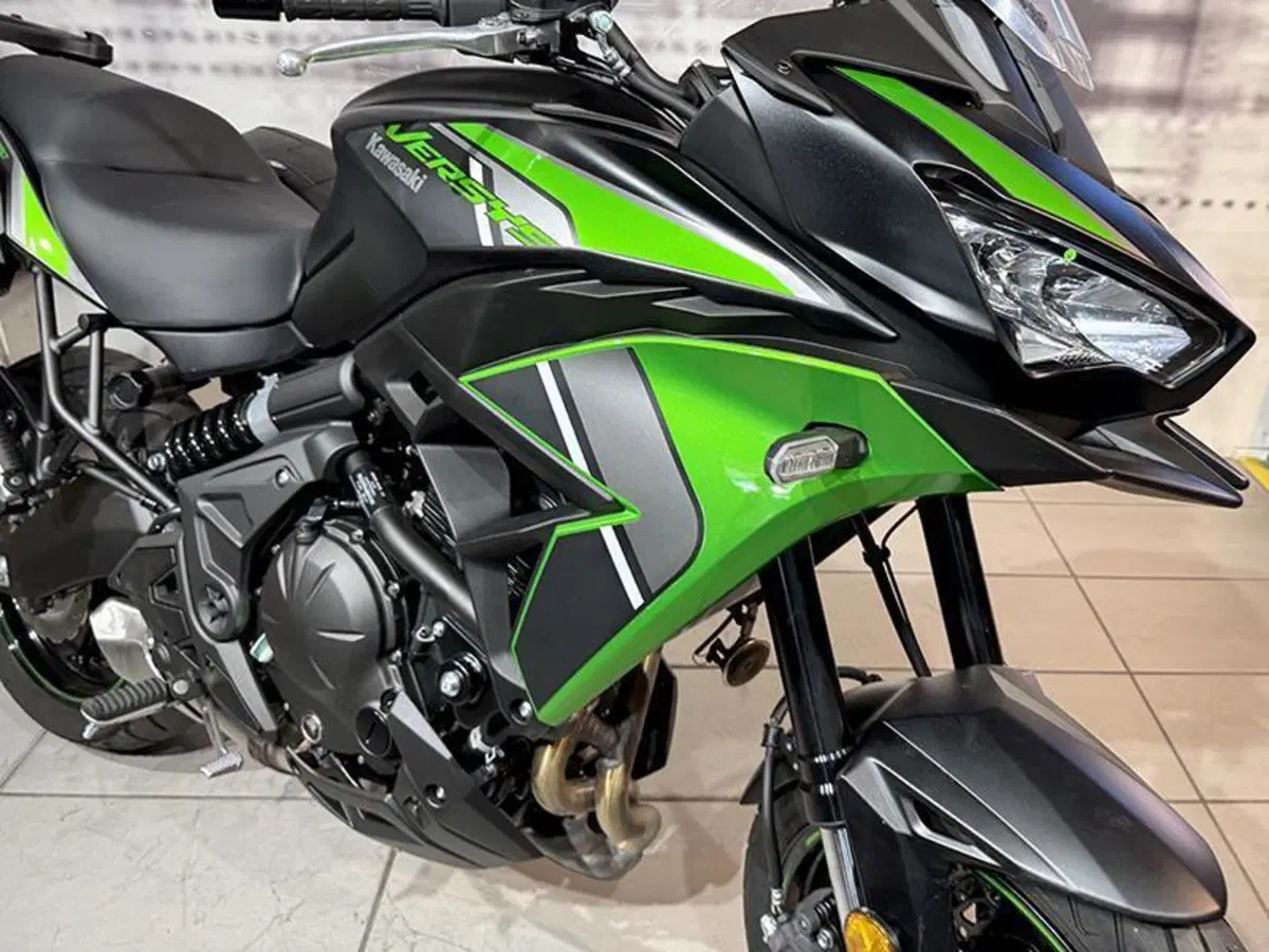 Kawasaki Versys 650 (2021 - 24) (5)
