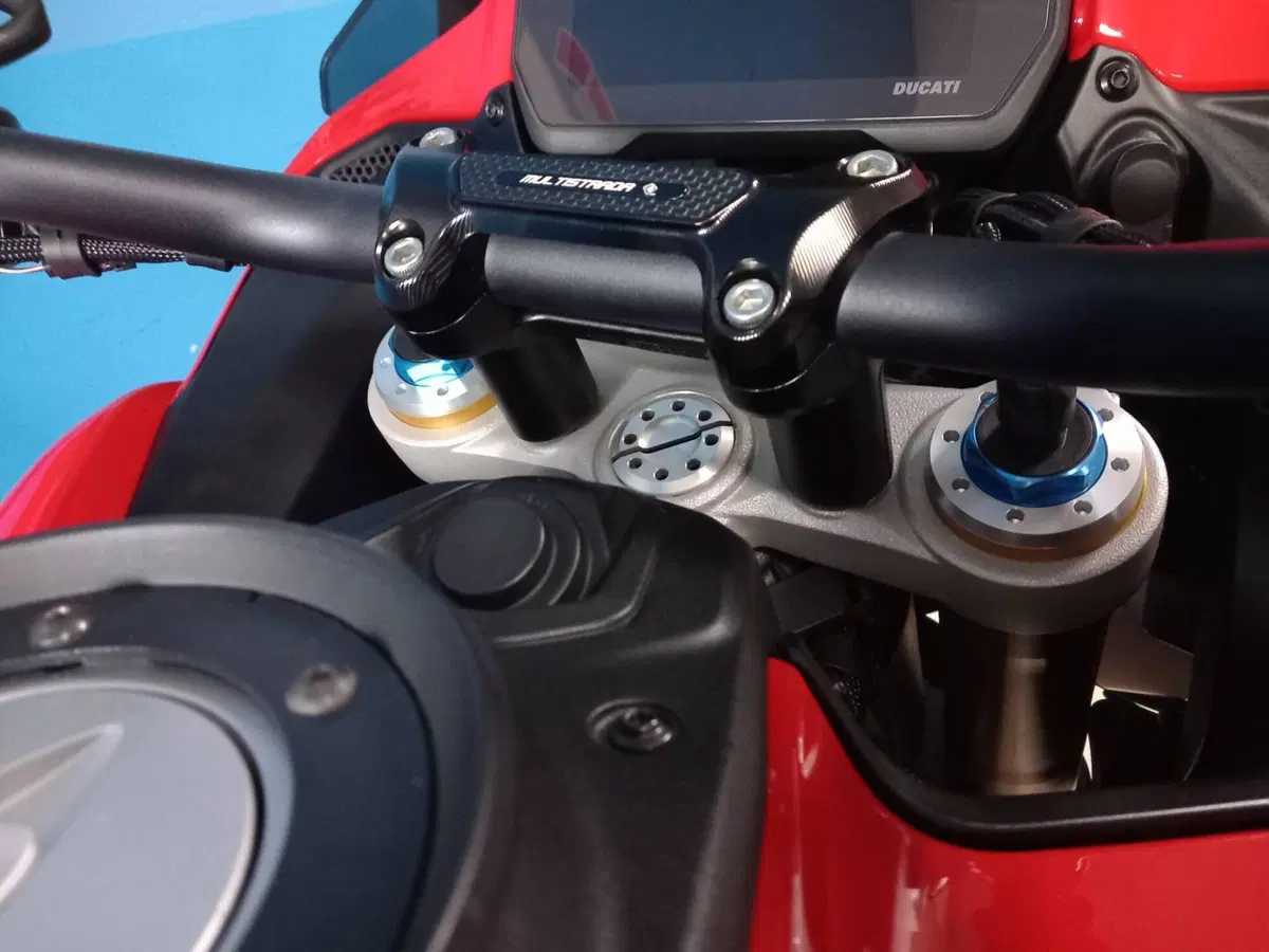 Ducati Multistrada V4 Pikes Peak (2021 - 24) (17)