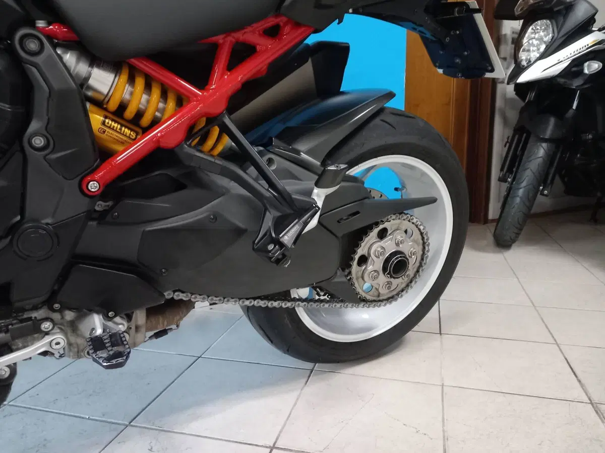 Ducati Multistrada V4 Pikes Peak (2021 - 24) (11)