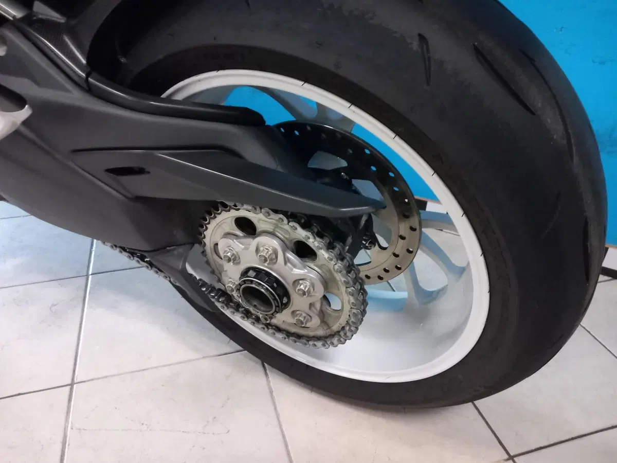 Ducati Multistrada V4 Pikes Peak (2021 - 24) (12)
