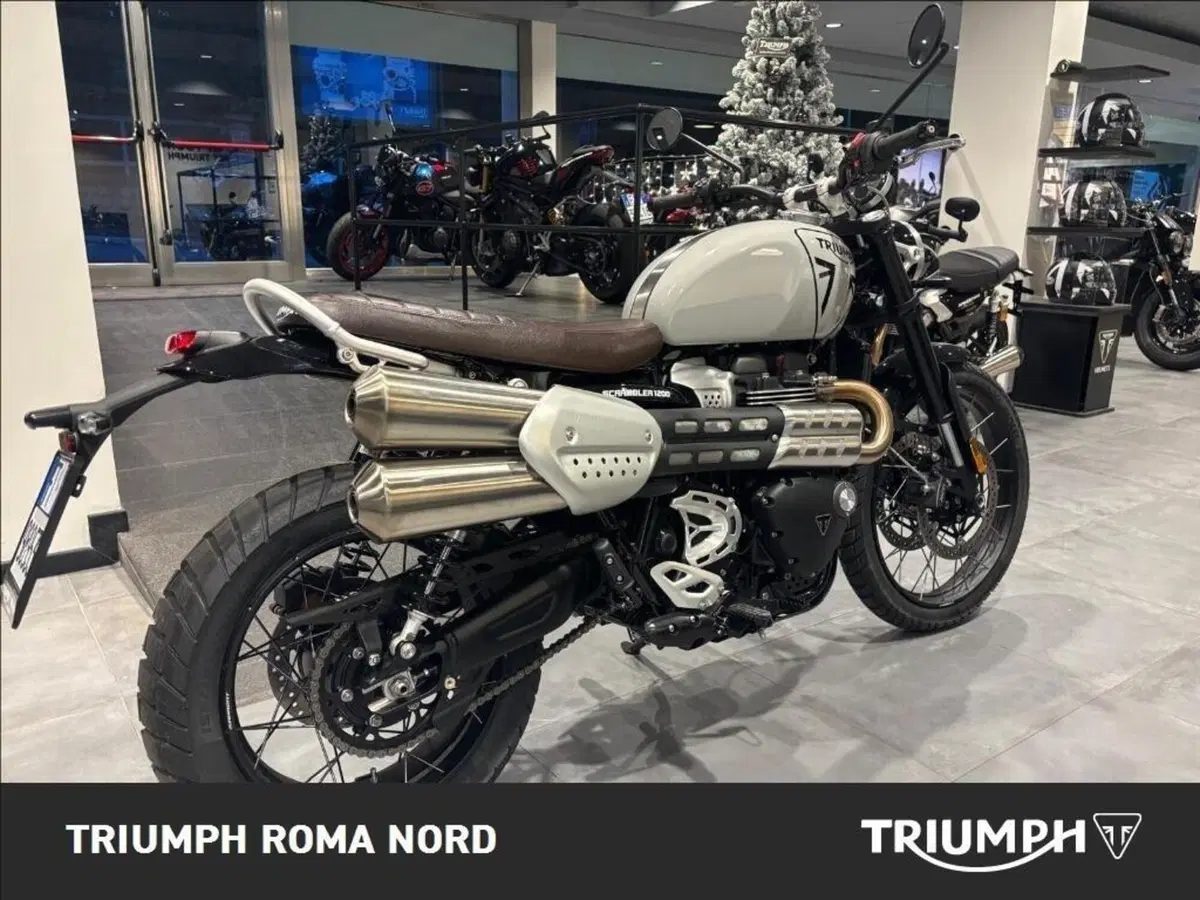 Triumph Scrambler 1200 X (2024 - 26) (5)