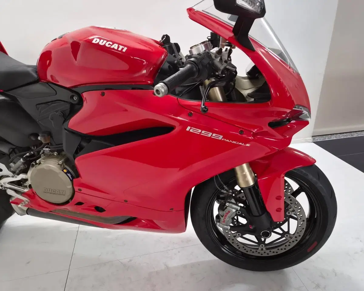 Ducati 1299 Panigale (2015 - 17) (5)