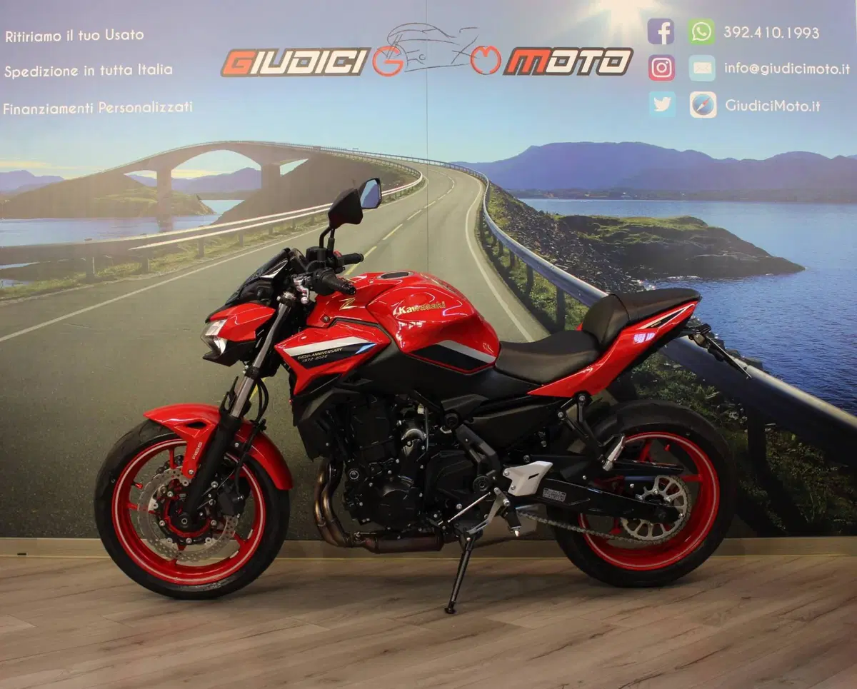 Kawasaki Z 650 50th Anniversary (2022 - 23) (3)